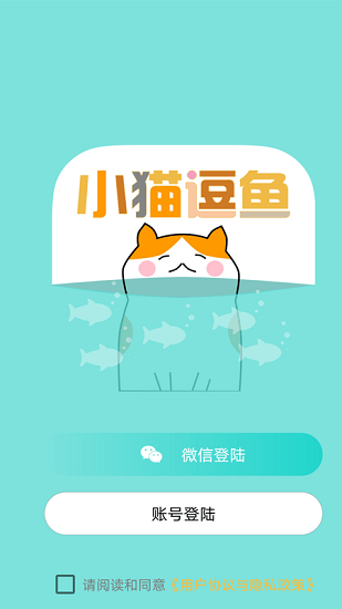 小猫逗鱼的图册