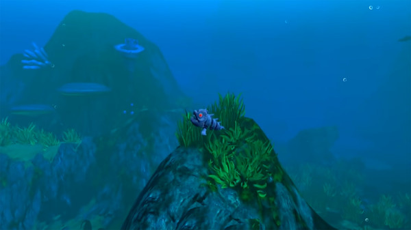 饥饿的鱼模拟器的图册