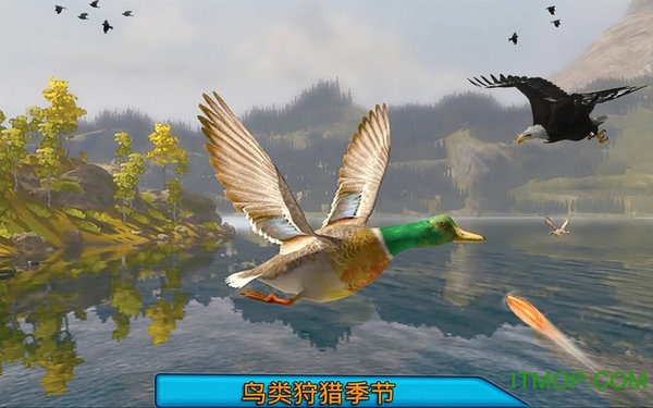 沙漠鸟类狙击手无限子弹破解版的图册