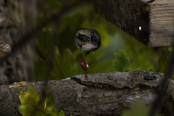 蚂蚁文托的图册