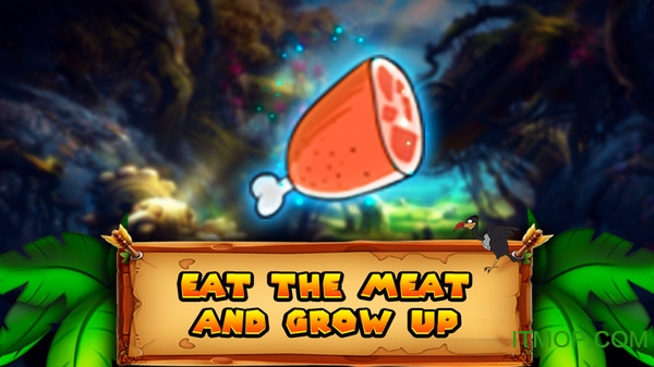 狮子王大冒险的图册