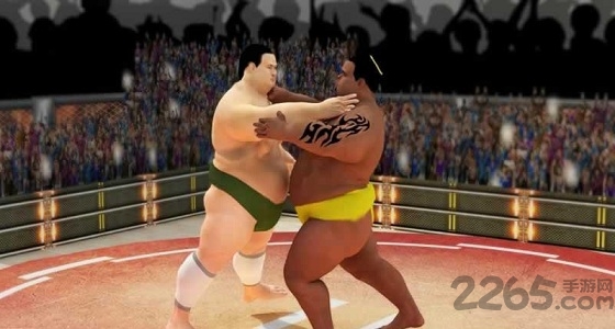 相扑格斗内购破解版的图册