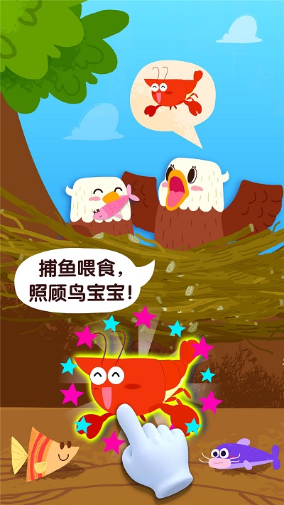 宝宝鸟类认知宝宝巴士的图册