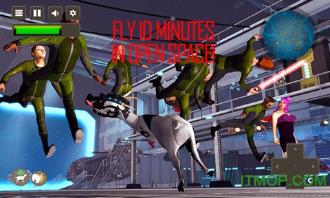 疯狂的小山羊的图册