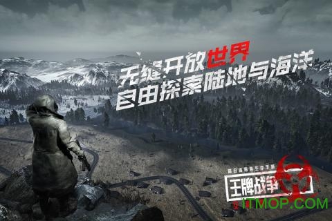 王牌战争文明重启变态版的图册