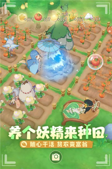 织梦森林2023的图册