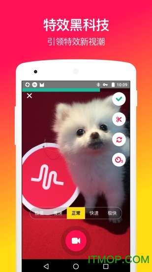 muse软件(musical.ly中国版)的图册