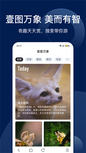 bingo搜狗搜索app最新版的图册