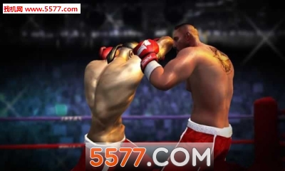 3D横版拳击格斗(Boxing3D-RealPunchGames)的图册