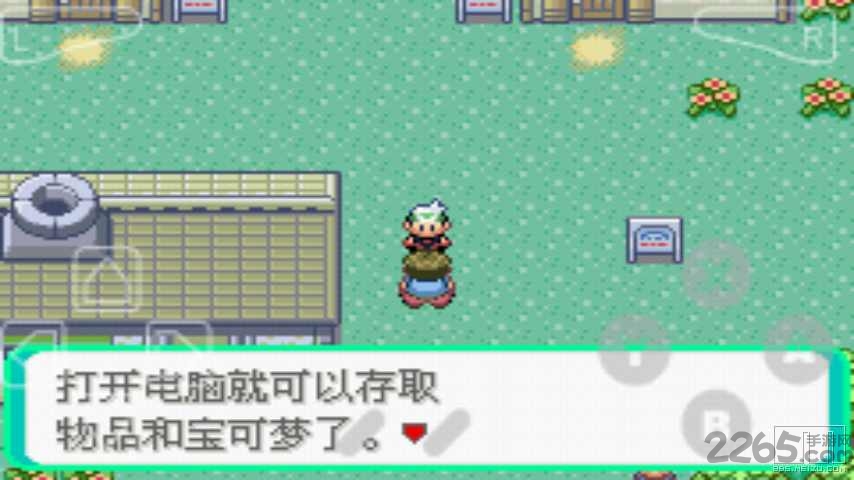 口袋妖怪绿宝石493无敌版的图册