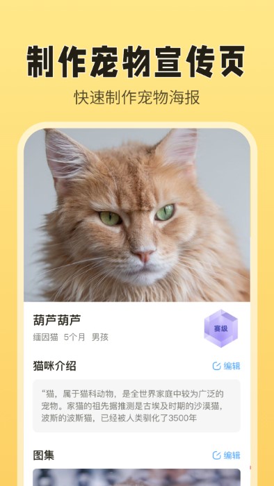 猫老板app的图册