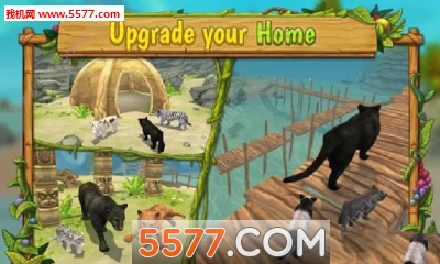 PantherFamilySim(猎豹家族模拟器安卓版)的图册