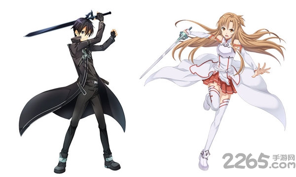 刀剑神域黑衣剑士王牌公益服的图册