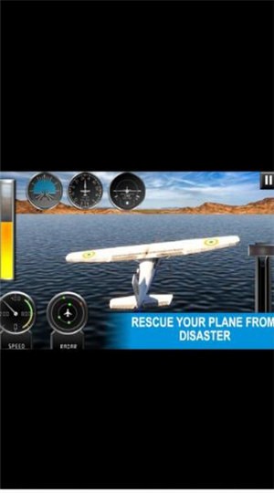 真实飞行大师的图册