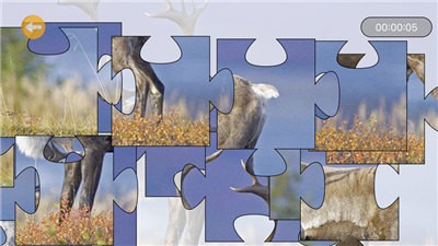 动物经典派舞会的图册