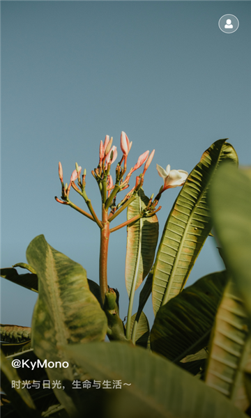 欢乐导航app的图册