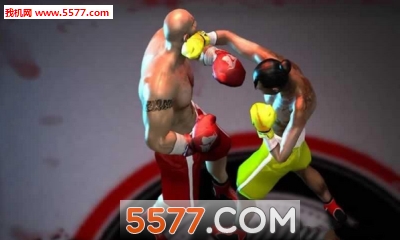 3D横版拳击格斗(Boxing3D-RealPunchGames)的图册