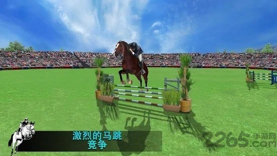 跳马模拟器2020游戏的图册