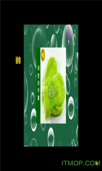 KT猫学颜色的图册