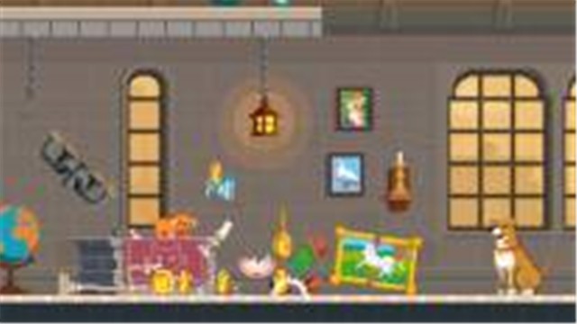 惊慌的猫的图册