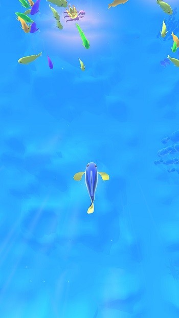 召唤神兽进化手机版的图册