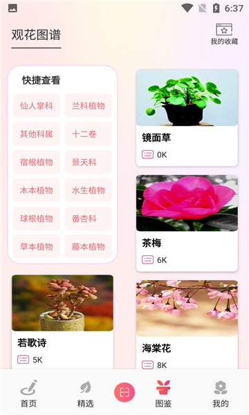 行色识花君app的图册