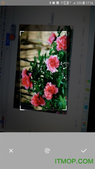 万能拍照识别破解版去广告的图册