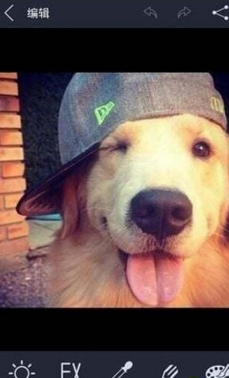 光影魔术手的图册