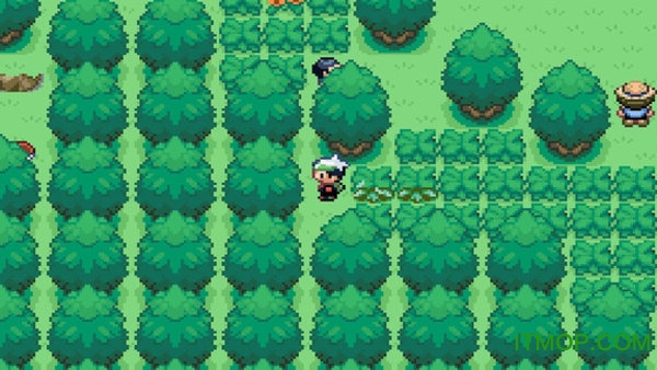 口袋妖怪永恒之沫破解版的图册