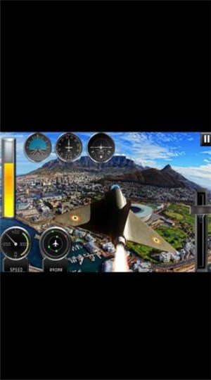 真实飞行大师的图册