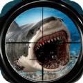 SharkFishing(饥鲨狩猎者安卓版)