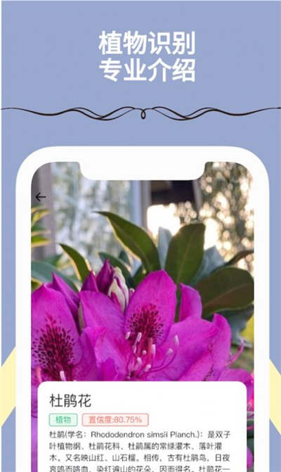 满分扫描王的图册