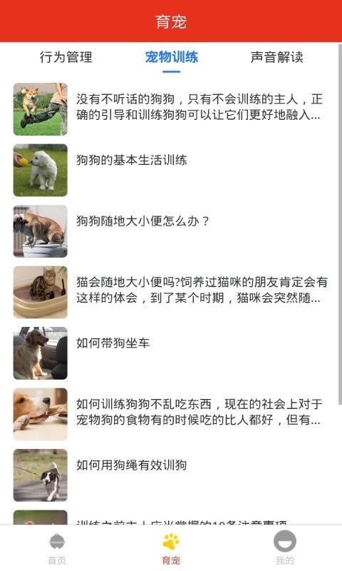 萌宠宠物之家的图册