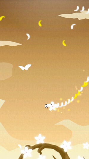 花开世界的图册