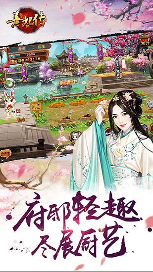 熹妃传魅族版本的图册