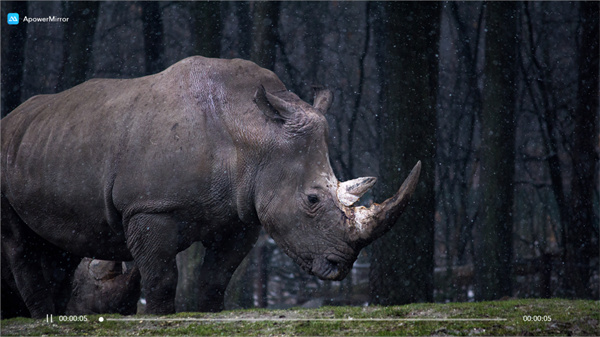 傲软投屏TV版的图册