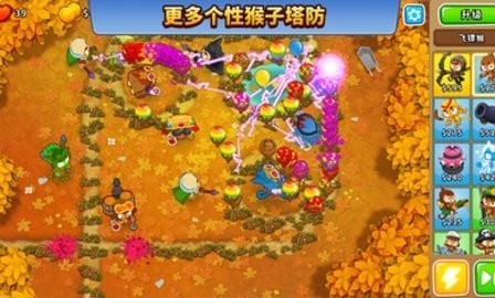 猴子塔防6正版的图册