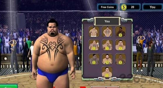 相扑格斗内购破解版的图册