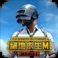 uu追踪直装pubg手游国际服免费版