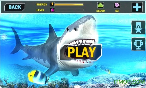 鲨鱼捕杀小游戏的图册