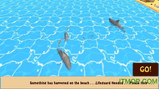 海滩救生员救援的图册